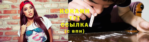 соль ск Костерёво
