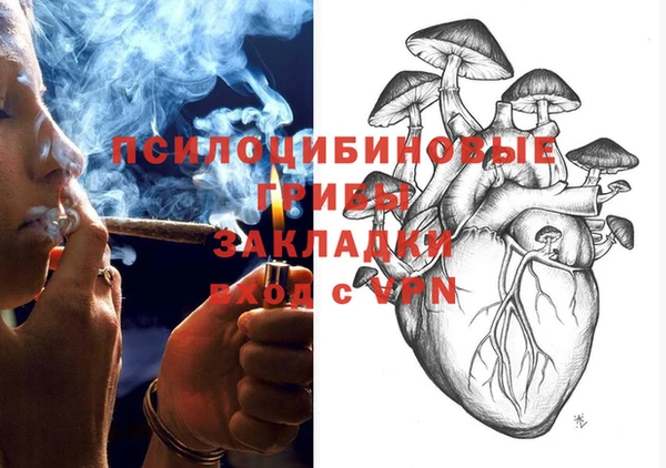 соль ск Костерёво