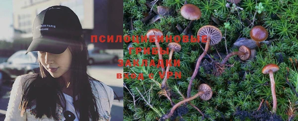 кокс Калининец